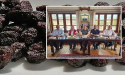 Kastamonu’da Üryani Eriği için stratejik adım