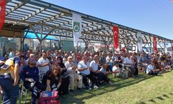 Kastamonu’da 71. Ağlı Panayırı ve Tarım Fuarı başladı