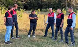 Kastamonu’da ipek böcekçiliği için yeni üretim alanı