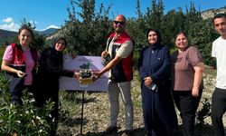 Kastamonu’nun yeni gelir kapısı oldu