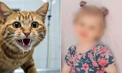 Kedi ısırmıştı: 3 yaşındaki çocuk hayatını kaybetti!