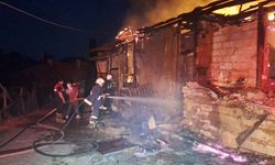 Köyde çıkan yangın iki evi küle çevirdi! Facia son anda önlendi