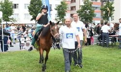 Kastamonu’da çocuklar ponylerle renkli bir gün geçirdi