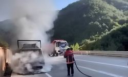 Sinop-Boyabat yolunda tavuk yüklü kamyonet yandı