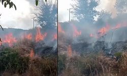 Son dakika: Tosya’nın köyünde yangın çıktı