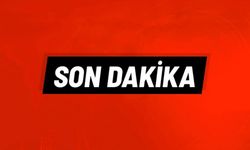 Son dakika: Kastamonu’da otomobil şarampole yuvarlandı: 1 ölü, 3 yaralı