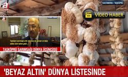 Taşköprü sarımsağının ünü sınırları aştı: Dünyada 3, Türkiye’de 1 numara