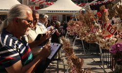 Taşköprü'de nefes kesen yarışma: En kaliteli sarımsak belli oldu