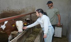 Kastamonu'da kızlarının sağlığı için şehri bırakıp köye yerleştiler