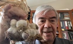 Ünlü profesör ‘Sarımsak candır’ dedi, Taşköprülülere çağrıda bulundu