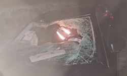 Yola çıkan ineğe çarptı, takla attı: 6 kişi yaralandı