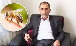 Arının soktuğu adam hastanede öldü!