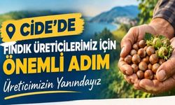 Cide’de fındık üreticilerine yeni kolaylık: TMO alım merkezi hizmete giriyor