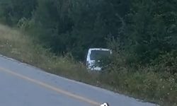Kastamonu'da araç virajı alamadı!