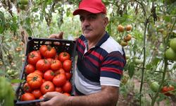 Devlet desteğiyle üretimini 7 kat artırdı: 100 bin TL kazandı