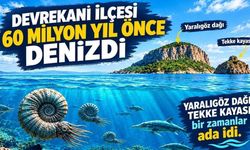 Devrekani, 60 milyon yıl önce denizdi: Yaralıgöz adaydı!