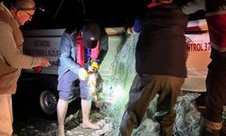 Devrekani’de hayalet ağ operasyonu: 2 bin 500 metre çıkarıldı