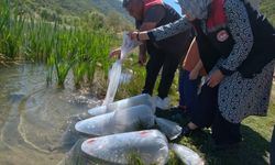 Göletlere binlerce yavru balık bırakıldı