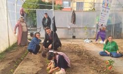 Taşköprü’de Hayata Katıl’ın yeni durağı sera oldu