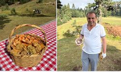 Hanönü'de Belediye Başkanı Yamalı, kanlıca mantarı sezonunu açtı