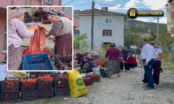 Hanönü'de kışa hazırlık mesaisi: Mahallelerden salça kokusu yükseliyor