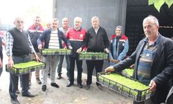 İnebolu’da çiftçiye 88 bin 400 fide desteği