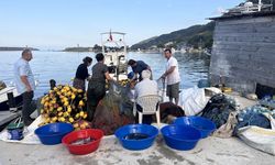 Karadeniz bu kez Kastamonulu balıkçıların yüzünü güldürdü