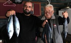 Kastamonu’da balıkçıların hasreti sona erdi: Palamut 100 Lira