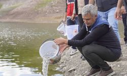Kastamonu’daki balıklandırmada en büyük pay Taşköprü’nün