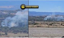 Tosya'da dumanlar yükseldi: Ekipler bölgede