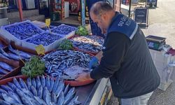 Kastamonu’da balık satış noktaları denetlendi