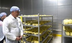 Kastamonu’da günlük 300 ton kapasiteli süt tesisi üretime başladı