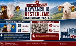 Kastamonu’da hayvancılık desteği başvuruları başladı