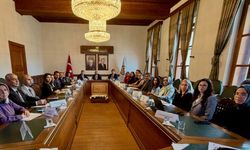 Kastamonu'da şiddetle mücadele için kurumlar bir araya geldi
