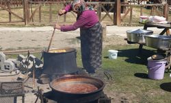 Kastamonu’da kış hazırlığı başladı: Elmalar pekmez ve pestil oluyor