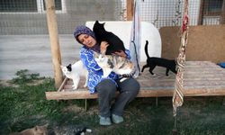 Kastamonu'da kanseri yendi: 120 kediye annelik yapıyor