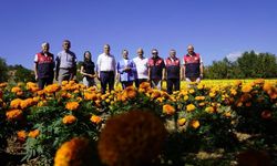 Kastamonu’da çiçek üreticileri için yeni yol haritası