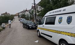 Komşu ilde acı olay! Otomobilinden indi, hayatını kaybetti