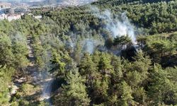 Komşu Karabük’te yangın korkuttu: 100 metrekare zarar gördü