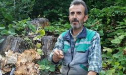 Komşuda traktör kazası can aldı