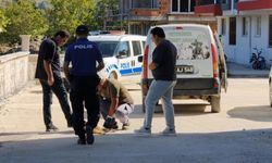 Komşuda vicdanları yaralayan olay: Sokak köpeğini vurdular