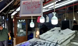 Komşuda palamut askıya çıktı