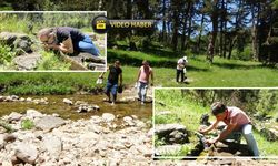 Kastamonu'da tansiyon ve diyabet hastaları bu suda şifa arıyor