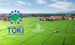 TOKİ 47 ilde düğmeye bastı: Kastamonu da kapsamda