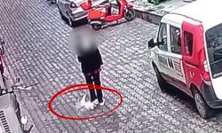 Tosya’da sıra dışı kaza: Üzerine dördüncü kattan kedi düştü