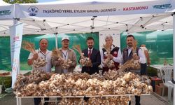 YEGFEST 2026’da Kastamonu rüzgarı: Taşköprü de yerini aldı
