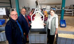 Başkan Arslan, Taşköprü OSB’de fabrikaları ziyaret etti