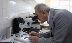 Kastamonu, Sakarya ve Gazi Üniversitelerinden bilim dünyasına yeni tür
