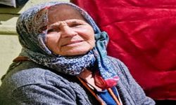 71 yaşındaki Fadime Karagöz'den haber alınamıyor