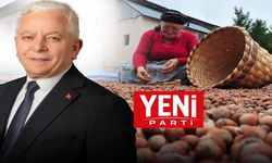 Kastamonu'da fındık fiyatlarına tepki: Üretici maliyetler karşısında zorlanıyor